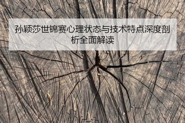 孙颖莎世锦赛心理状态与技术特点深度剖析全面解读